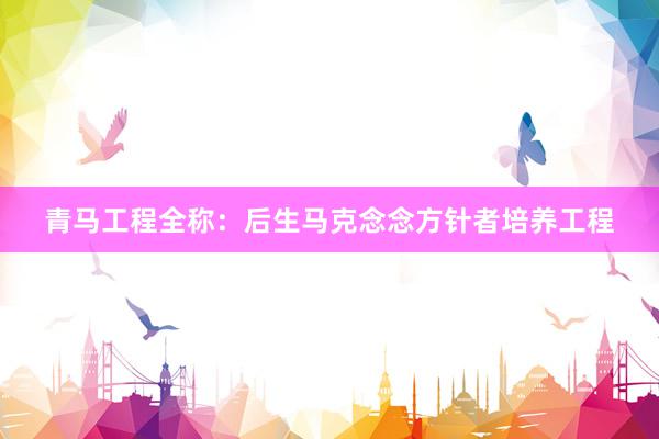 青马工程全称：后生马克念念方针者培养工程