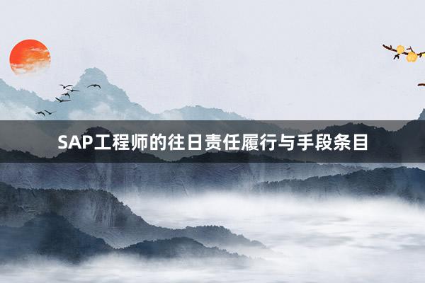 SAP工程师的往日责任履行与手段条目