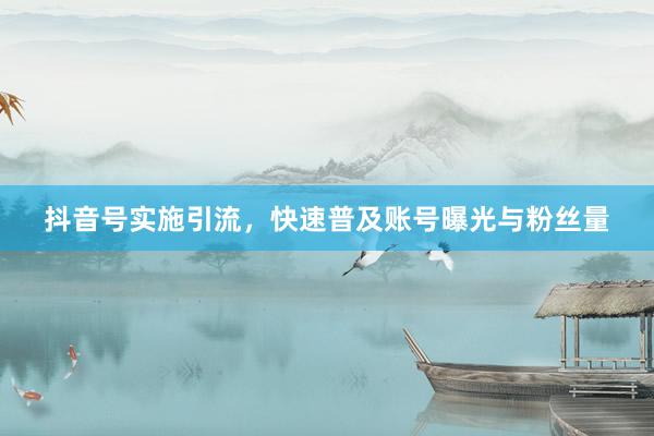 抖音号实施引流，快速普及账号曝光与粉丝量