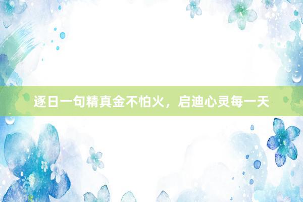 逐日一句精真金不怕火，启迪心灵每一天