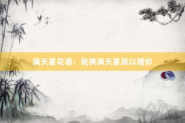 满天星花语：我携满天星辰以赠你