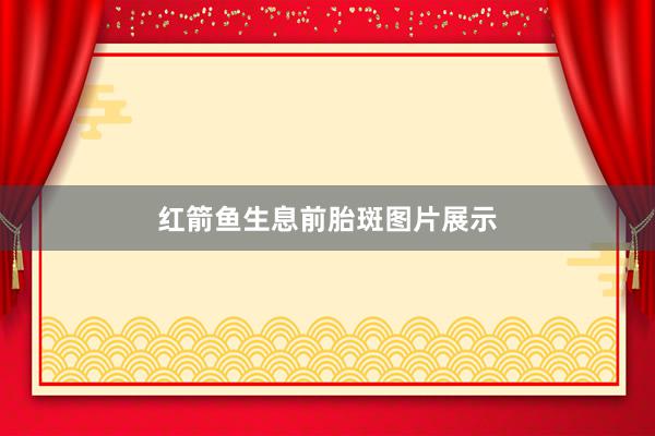 红箭鱼生息前胎斑图片展示