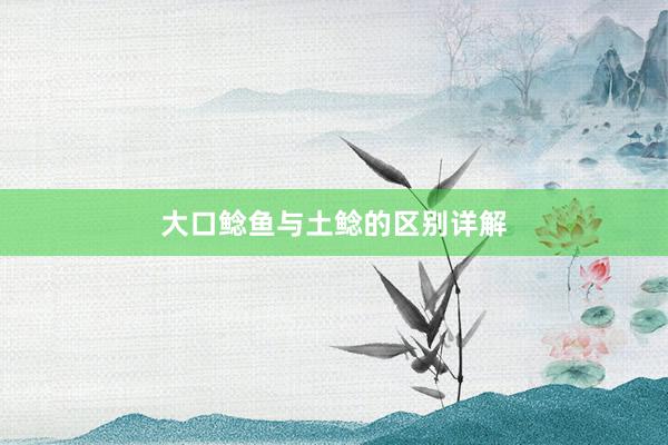 大口鲶鱼与土鲶的区别详解